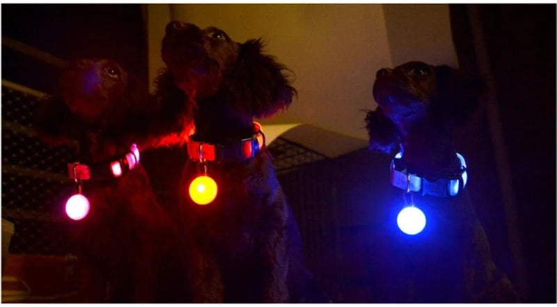 LED Flashlight Dog Cat Collar Glowing Pendant Night Safety Pet Leads Necklace Luminous Bright Decoration Collars For Dogs