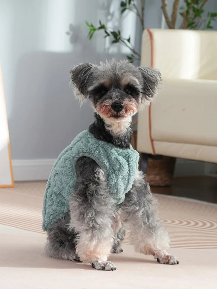 Autumn Winter Pet Dog Clothes for Small Medium Dogs Cats Walking Cozy Thicken Fleece Puppy Sweater Chihuahua Schnauzer Clothing