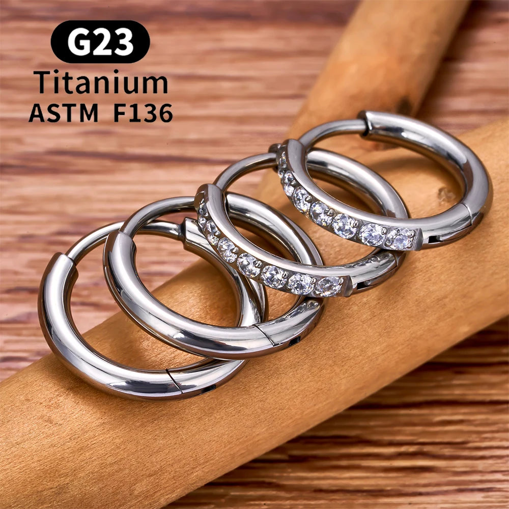 2/20PCS G23 Titanium Earring Hoop CZ Hinged Segment Round Nose Ring for Women Ear Tragus Cartilage Helix Daith Piercing Jewelry