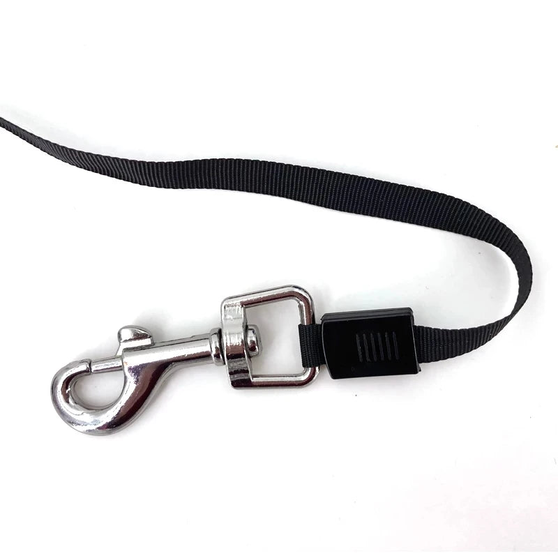 3 Meters 5 Meters Retractable Dog Leash Pet Leash Traction Rope Belt Automatic Flexible Leash For Small Medium Large Dog Product