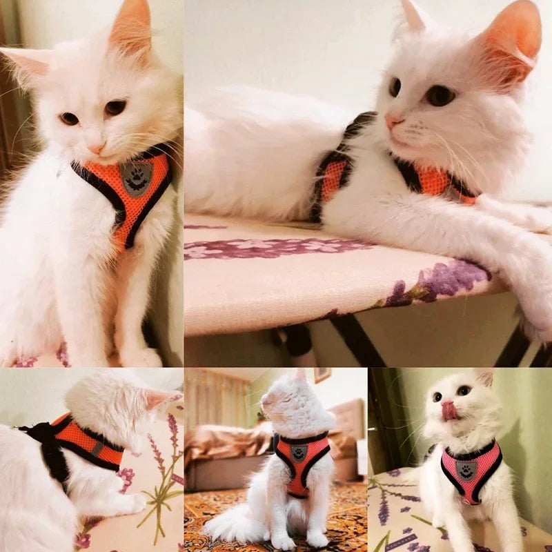 Cat Harness Vest Walking Lead Leash for Puppy Dogs Collar Adjustable Mesh Dog Harness for Small Medium Dogs Kitten Accessories