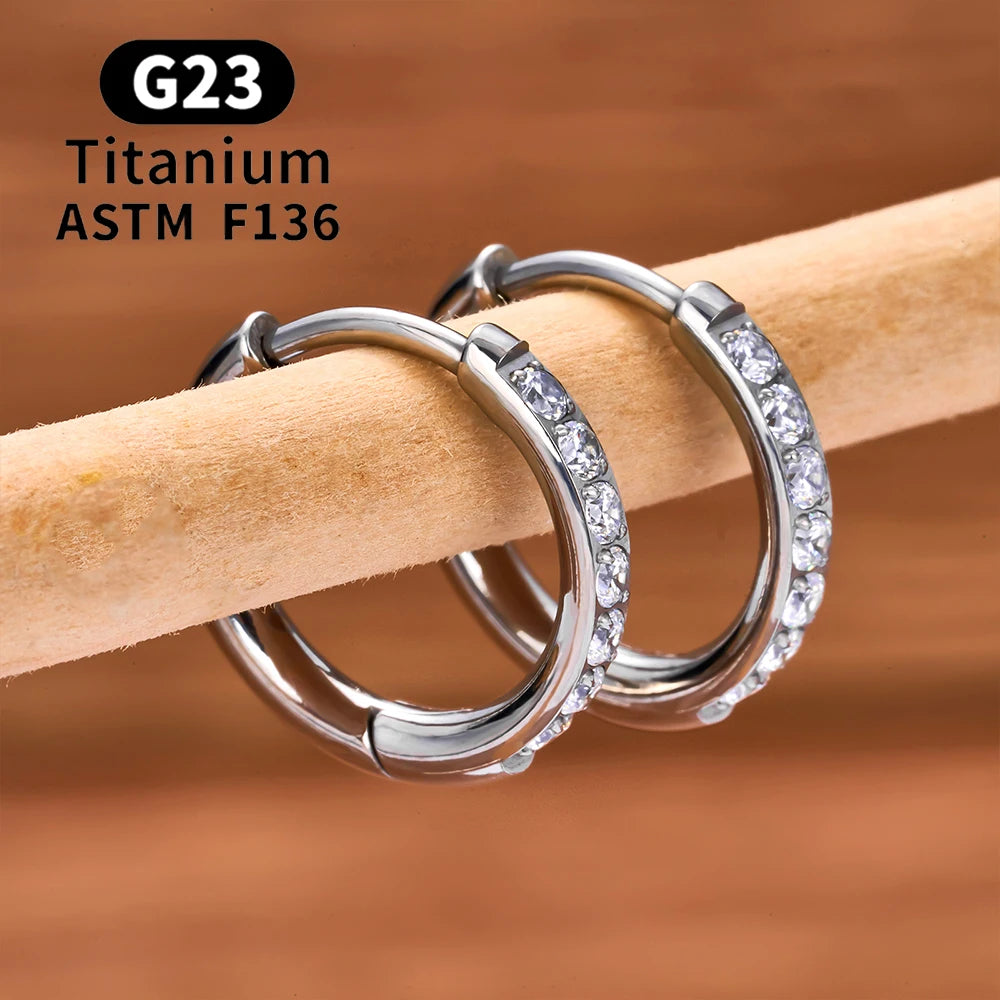 2/20PCS G23 Titanium Earring Hoop CZ Hinged Segment Round Nose Ring for Women Ear Tragus Cartilage Helix Daith Piercing Jewelry