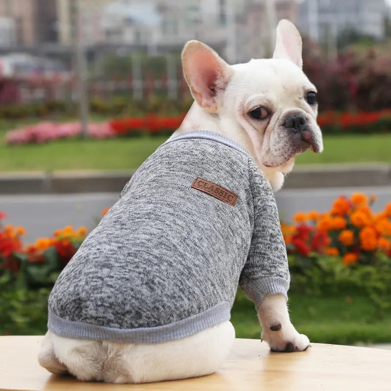 Keep You Warm Kittens Puppy Clothes for Small Dog French Bulldog Sweatshirt Pet Dogs Cats Jacket Coat Classic Chihuahua Clothes