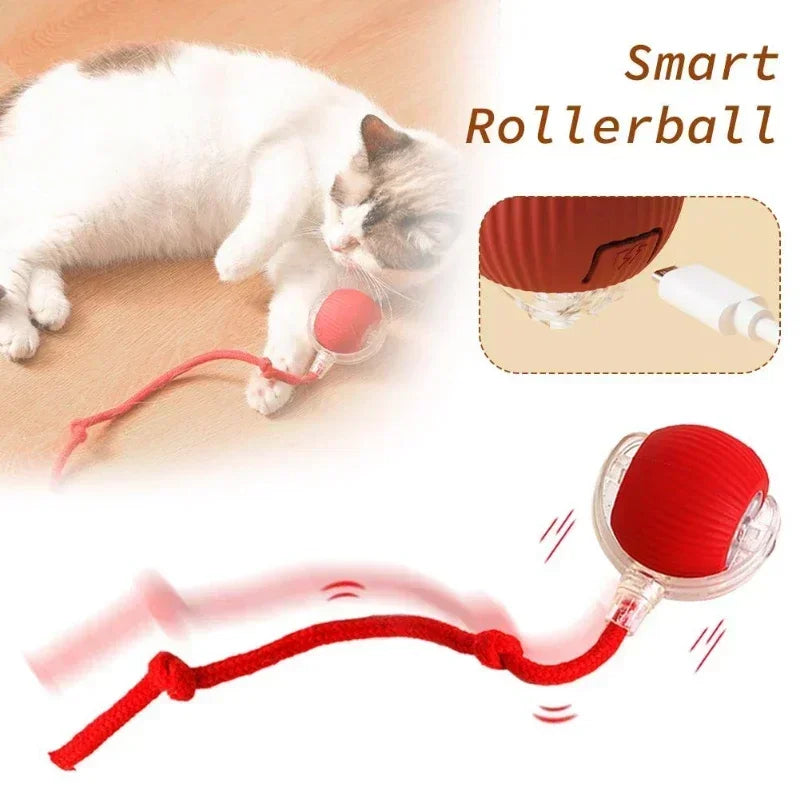 Automatic Rolling False Tail Ball Dog Accessories Cat Supplies Rechargeable Smart Pet Electric Toys Cat and Dog Items Home Cats