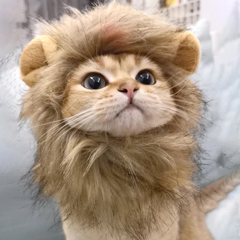 Cat Costume Cute Lion Mane Cat Wig Hat Cosplay Clothes Cap Dress Up Puppy Kitten Halloween Christmas Party Decoration Supplies