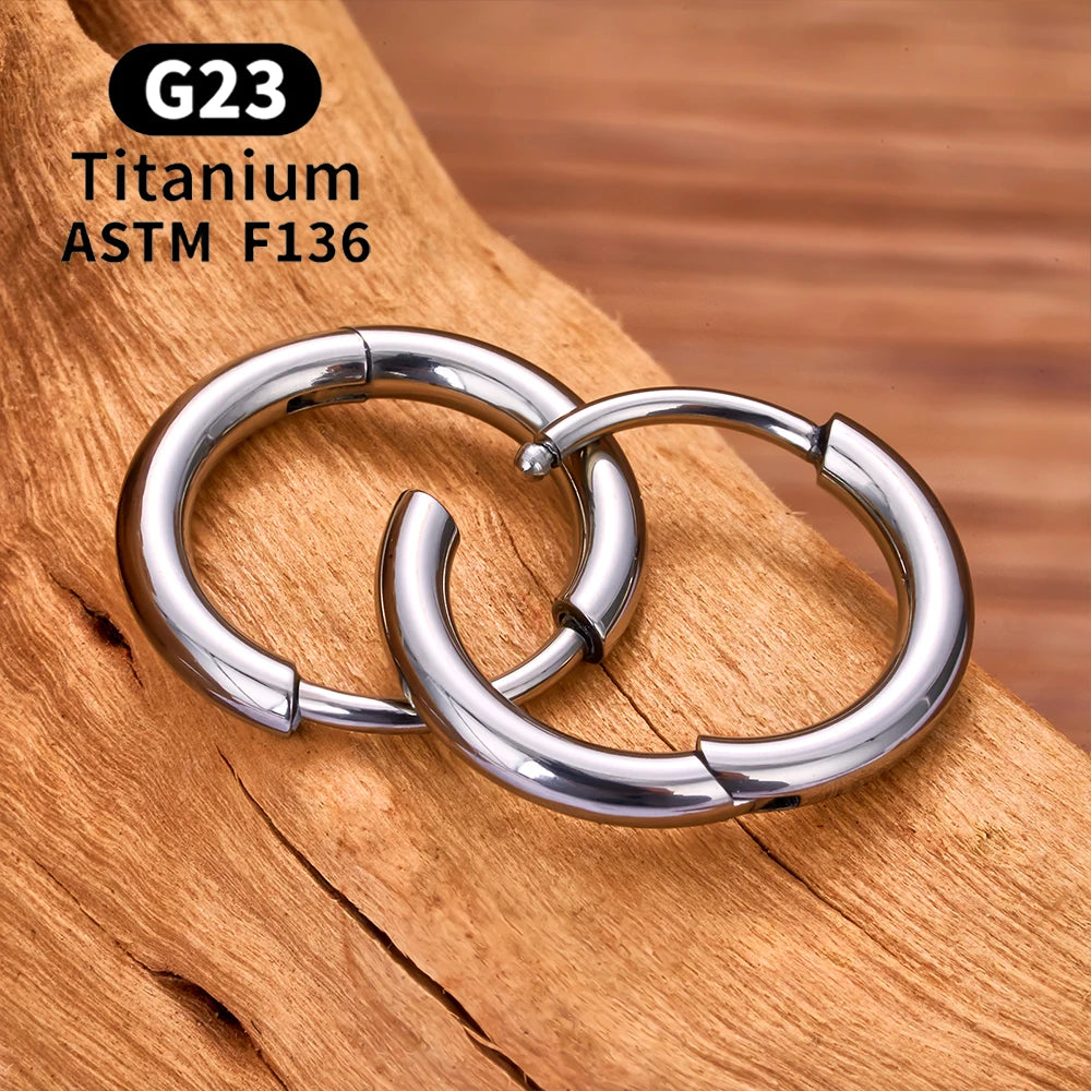 2/20PCS G23 Titanium Earring Hoop CZ Hinged Segment Round Nose Ring for Women Ear Tragus Cartilage Helix Daith Piercing Jewelry