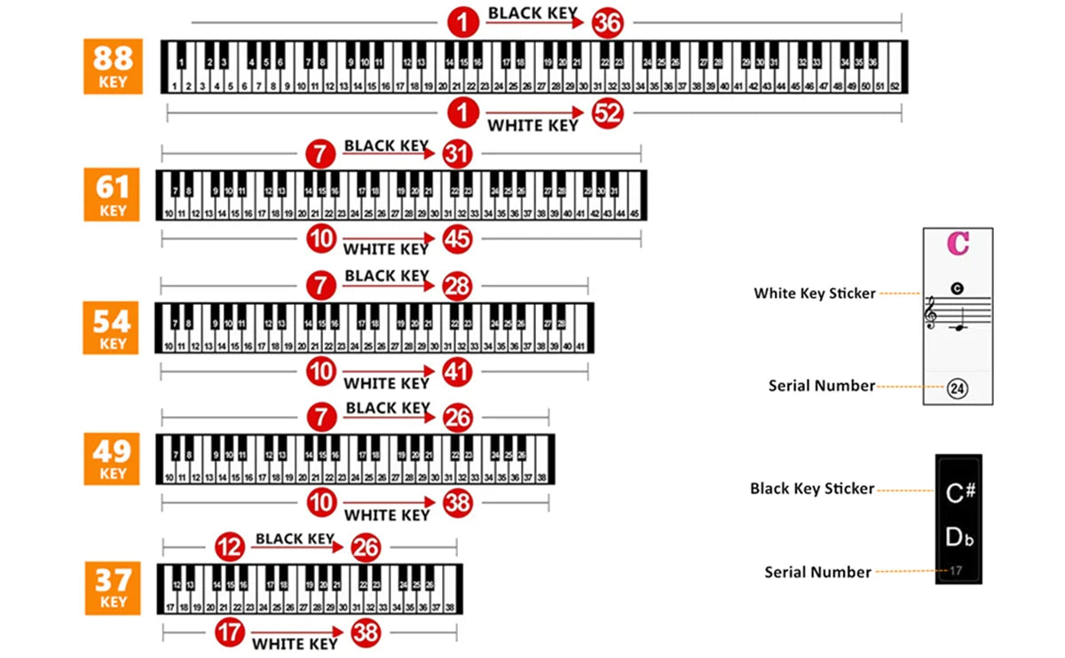 Piano Keyboard Stickers for 37 49 54 61 88 White and Black Keys Music Electronic Piano Keyboard Note Stickers