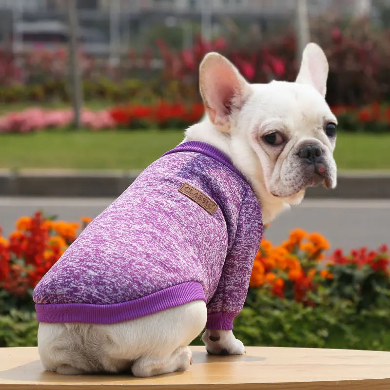 Keep You Warm Kittens Puppy Clothes for Small Dog French Bulldog Sweatshirt Pet Dogs Cats Jacket Coat Classic Chihuahua Clothes