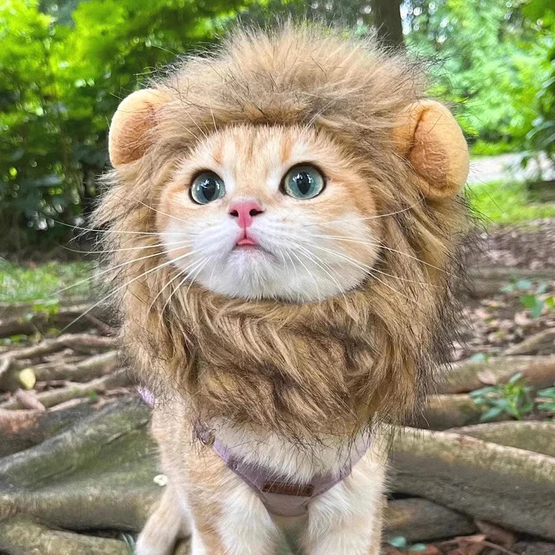 Cat Costume Cute Lion Mane Cat Wig Hat Cosplay Clothes Cap Dress Up Puppy Kitten Halloween Christmas Party Decoration Supplies