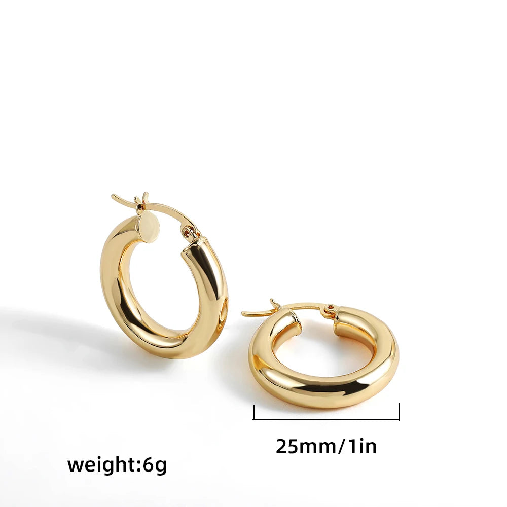 Punk Gold plated Chunky Irregular Hammered Hoop Earrings for Women Minimalist Geometric Twisted Polished Ear Ring Huggie Hoops