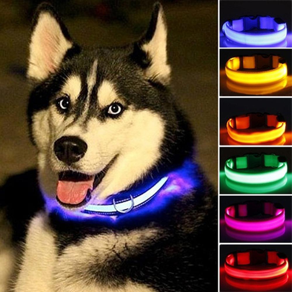 LED Dog Anti-lost Collar Pet Collar Glowing Luminous LED Night Light For Small Medium Large Dogs Collars Leads Safety Necklace