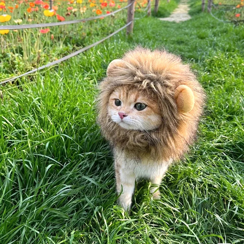 Cat Costume Cute Lion Mane Cat Wig Hat Cosplay Clothes Cap Dress Up Puppy Kitten Halloween Christmas Party Decoration Supplies