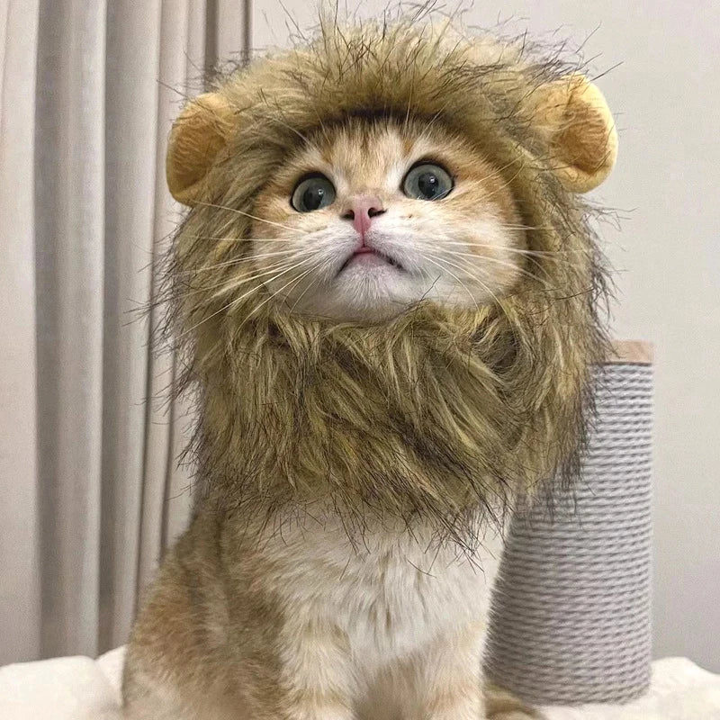 Cat Costume Cute Lion Mane Cat Wig Hat Cosplay Clothes Cap Dress Up Puppy Kitten Halloween Christmas Party Decoration Supplies